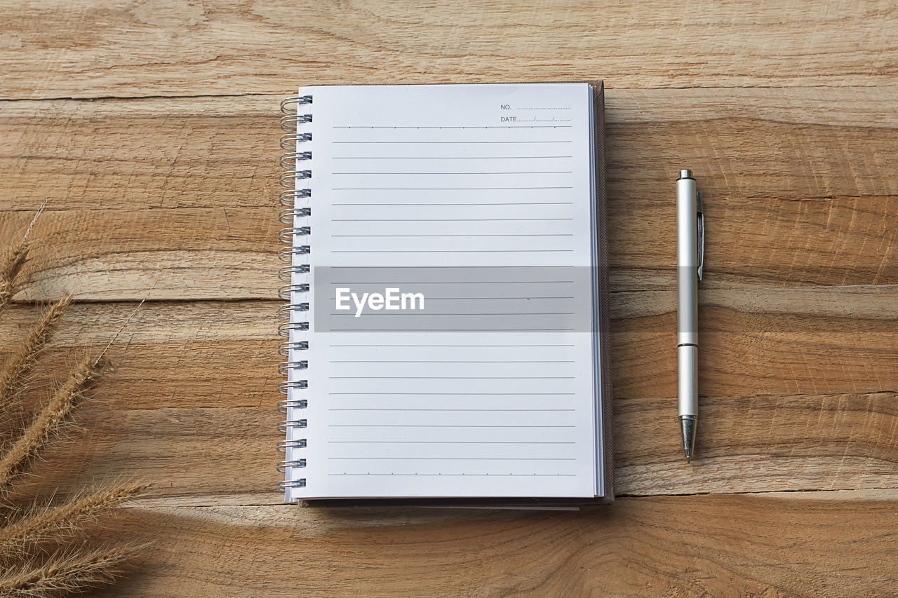 Directly above view of diary and pen on wooden table