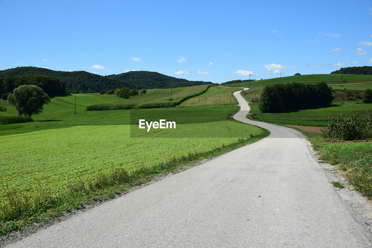 Road amidst green landscape against clear sky