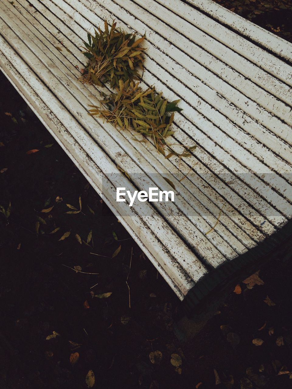 High angle view of leaves on bench in park