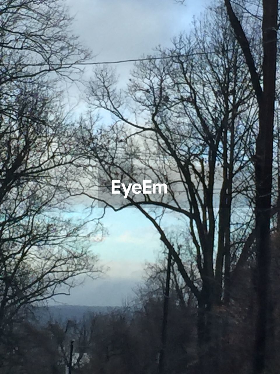 LOW ANGLE VIEW OF BARE TREES AGAINST THE SKY