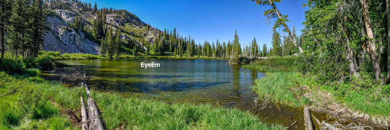 Scenic view of lake in forest against sky