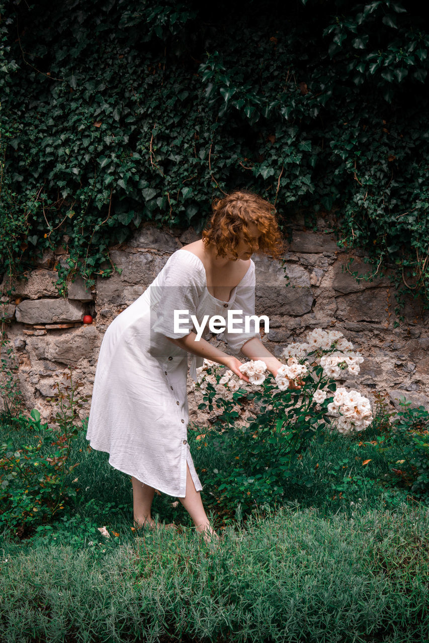 Woman picking white roses in garden 