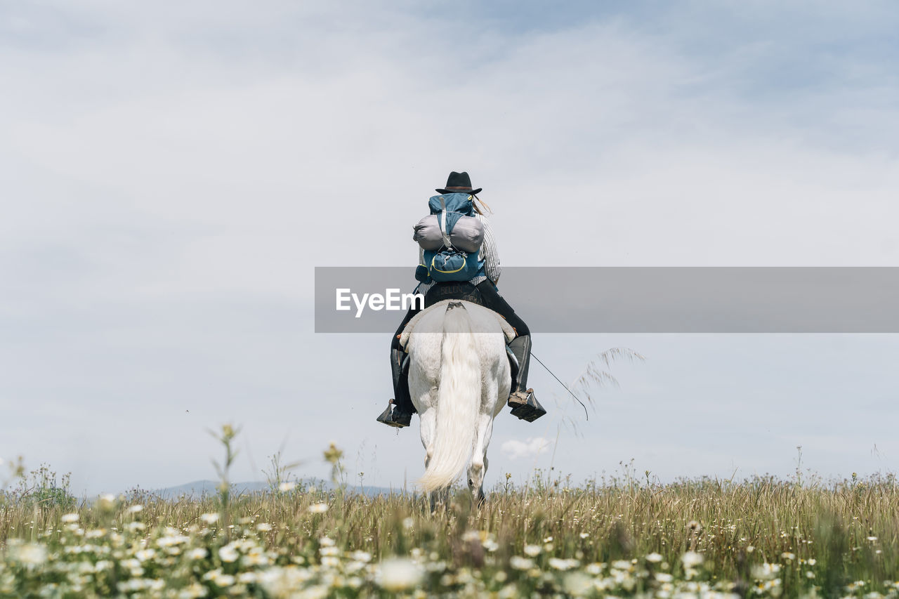 Young woman wearing backpack riding horse on meadow during sunny day