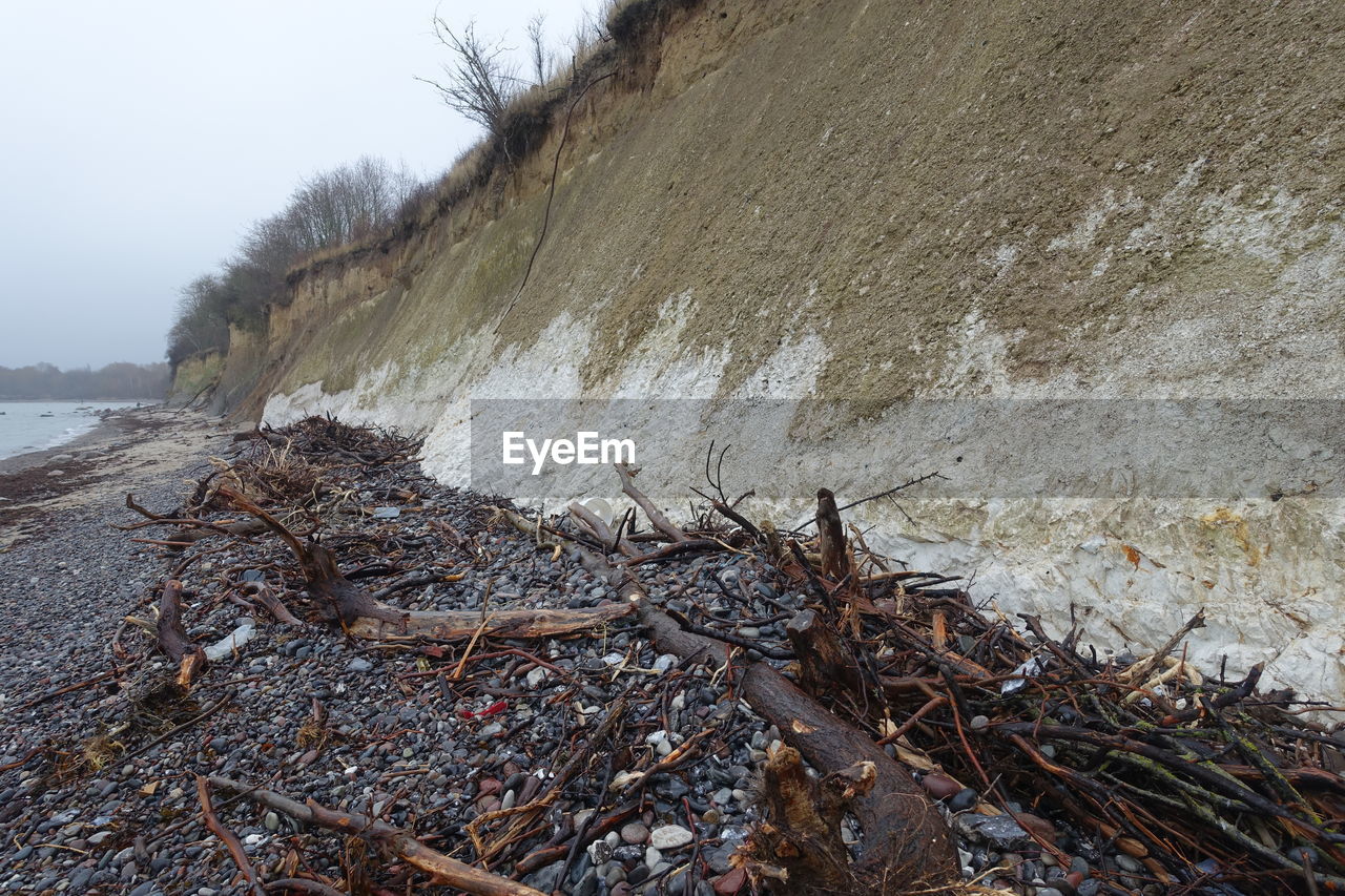 Driftwood on beach by sea during winter