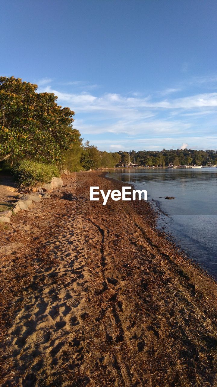 SCENIC VIEW OF BEACH