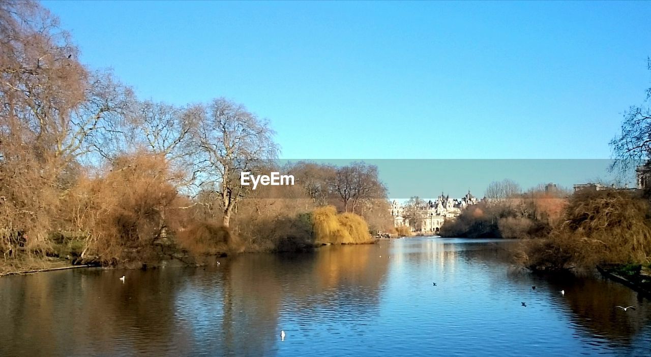 Scenic view of river amidst bare trees against clear blue sky