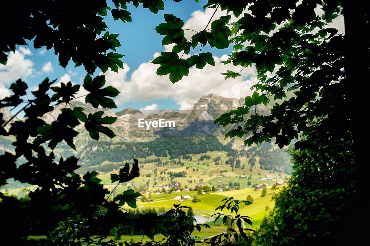 PANORAMIC VIEW OF LANDSCAPE AGAINST SKY