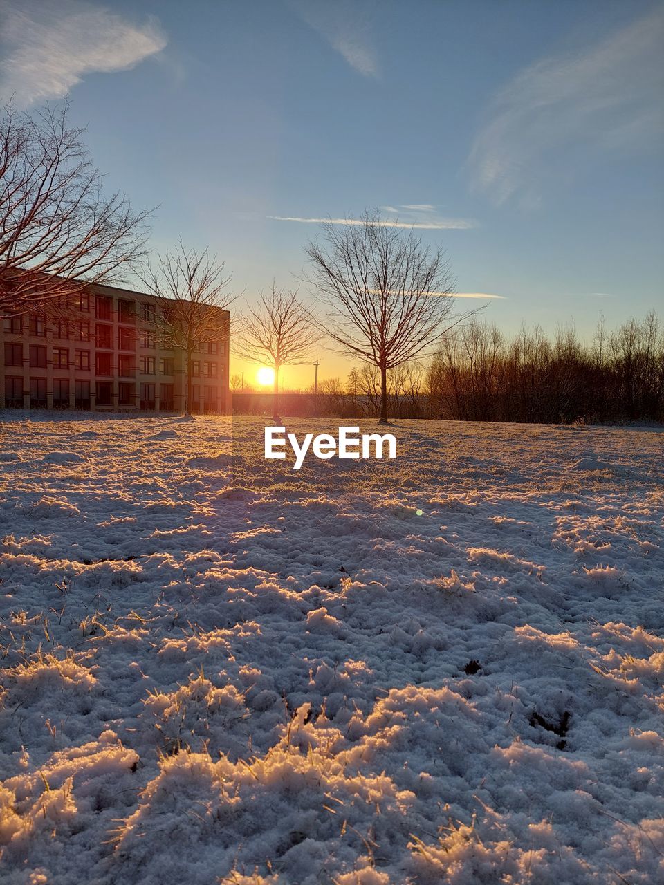 reflection, sunlight, sky, architecture, built structure, nature, building exterior, light, tree, no people, cloud, blue, morning, low angle view, winter, outdoors, plant, building, snow, sun, city, beauty in nature, day