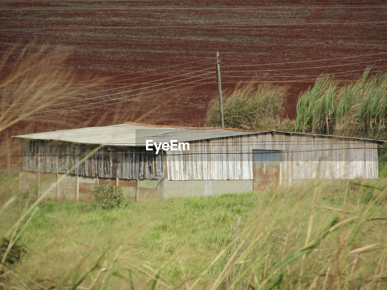 Abandoned house on field