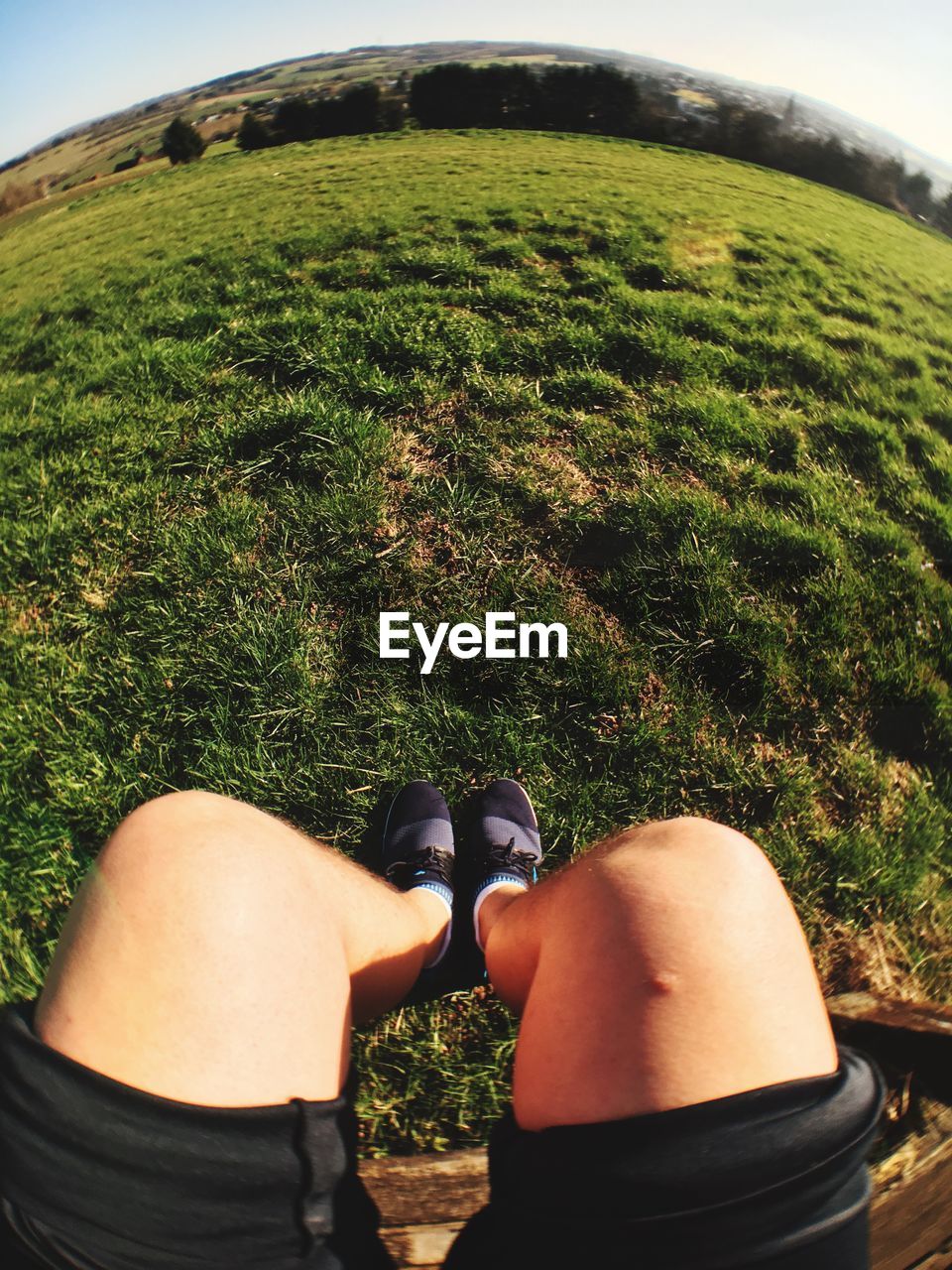 Low section of woman sitting on bench at grassy field