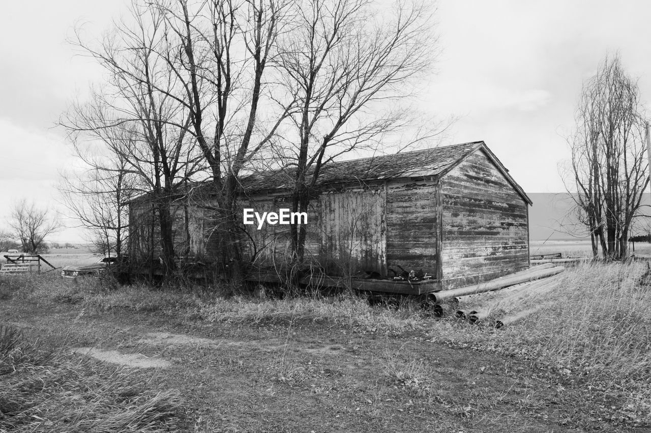 In small town, old, abandoned and weathered Huntly Wyoming Abandoned Bare Tree Building Exterior Built Structure Day Landscape Outdoors