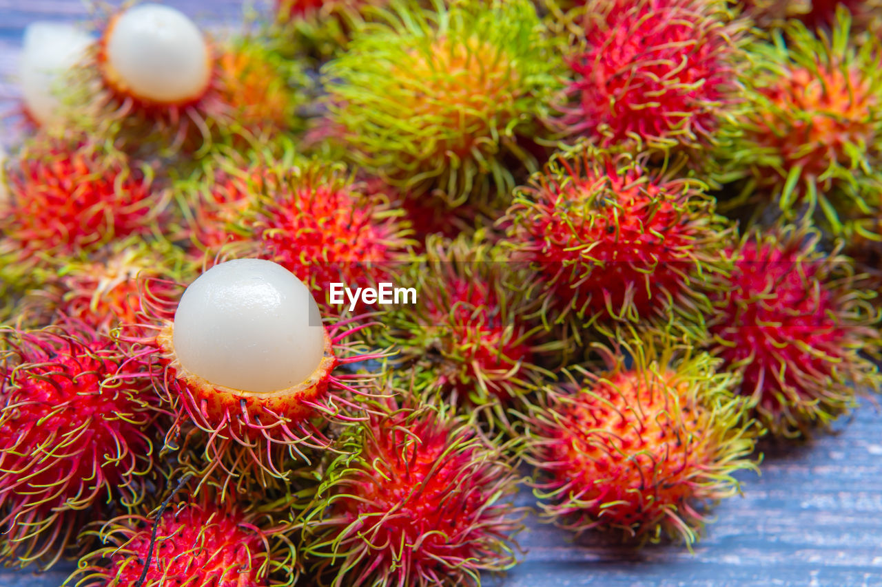 HIGH ANGLE VIEW OF FRUITS ON PLANTS