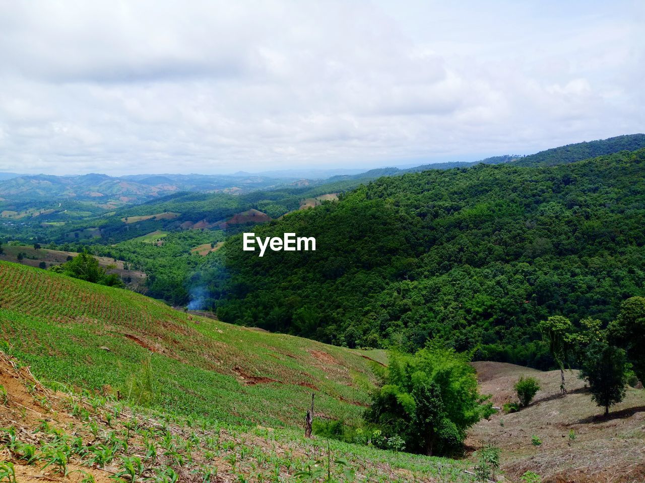 SCENIC VIEW OF LANDSCAPE AND TREES AGAINST SKY