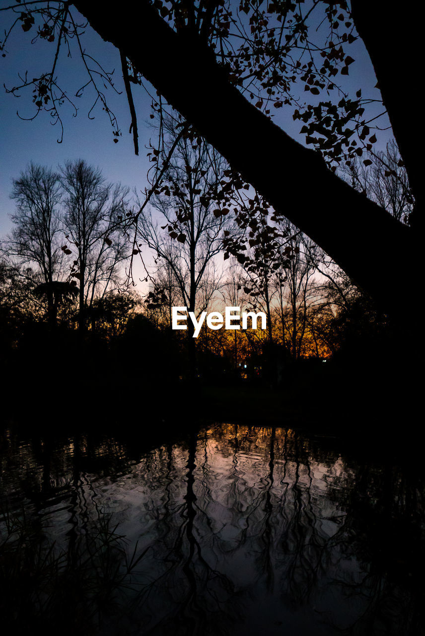 SILHOUETTE TREES BY LAKE IN FOREST AGAINST SKY AT SUNSET