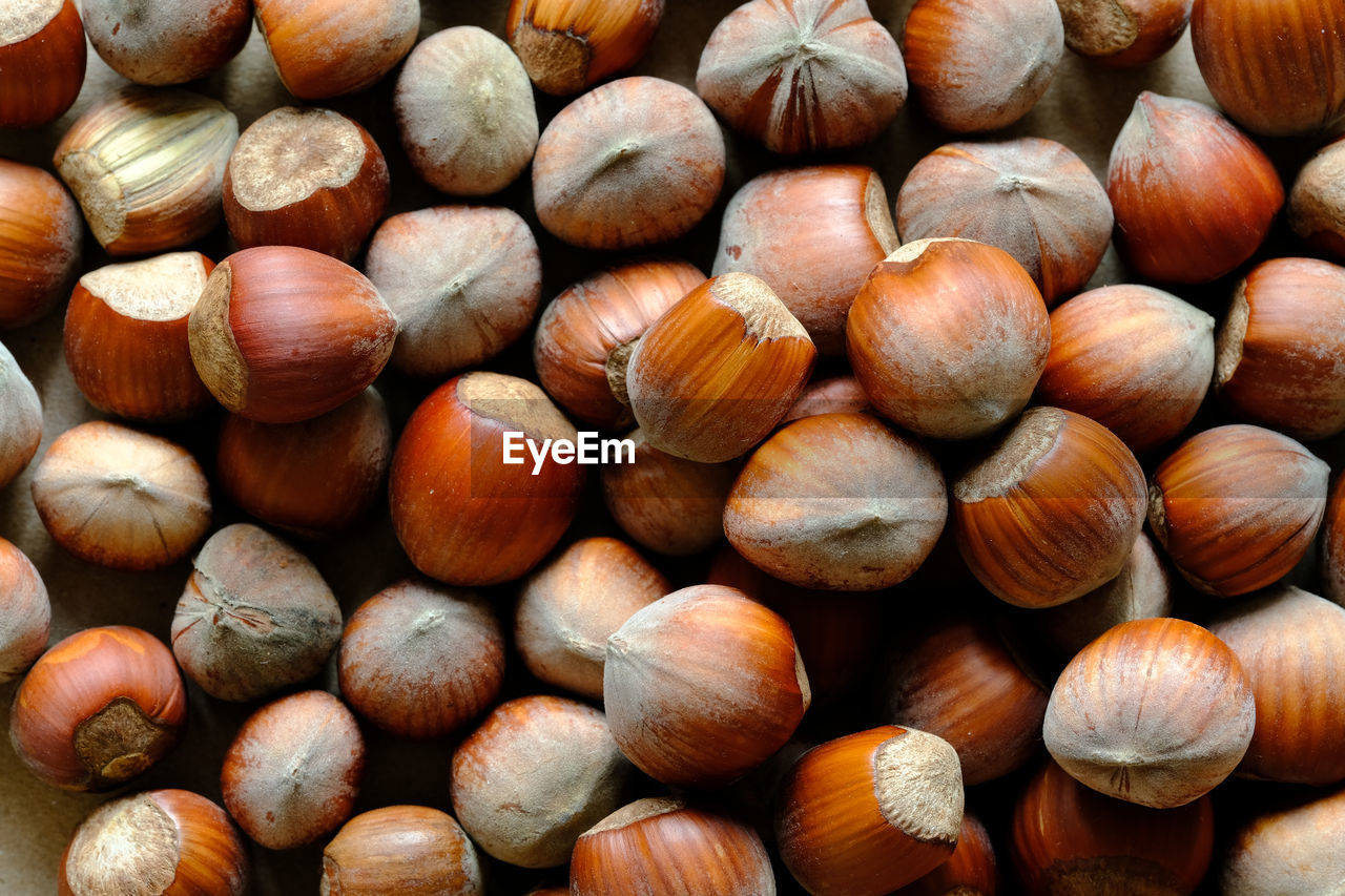 Macro shot of many hazelnuts in nutshell.