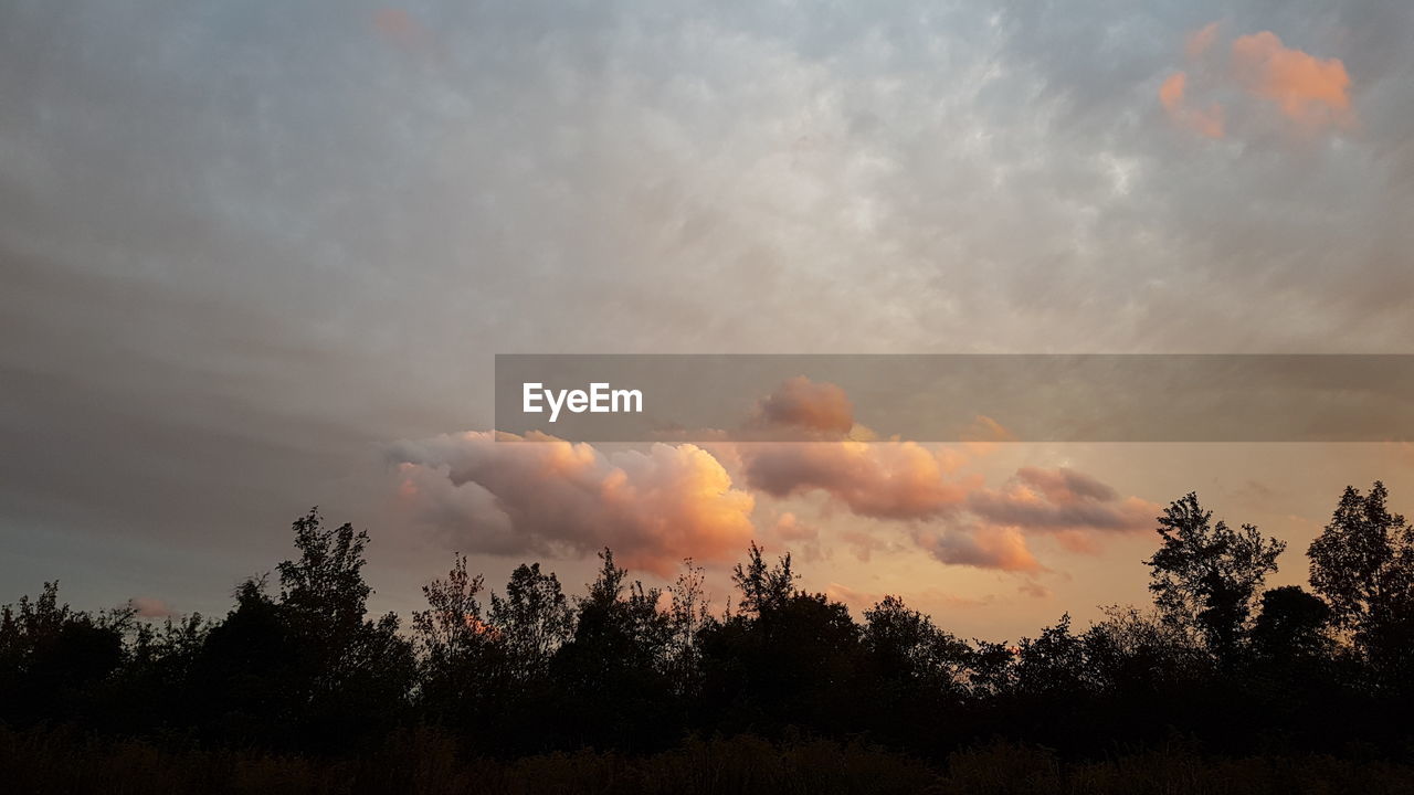 SILHOUETTE TREES AGAINST SKY DURING SUNSET