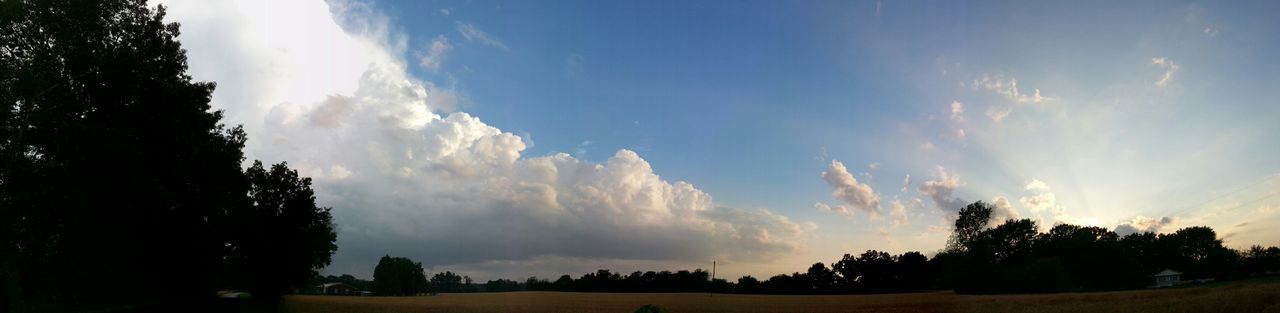 Panoramic view of trees on landscape against sky