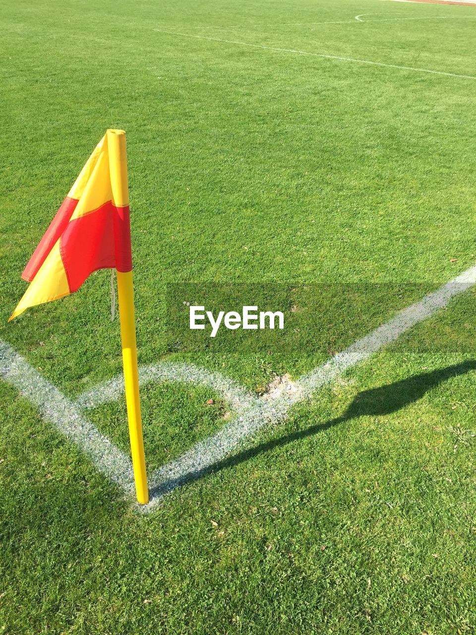 HIGH ANGLE VIEW OF FLAGS ON FIELD