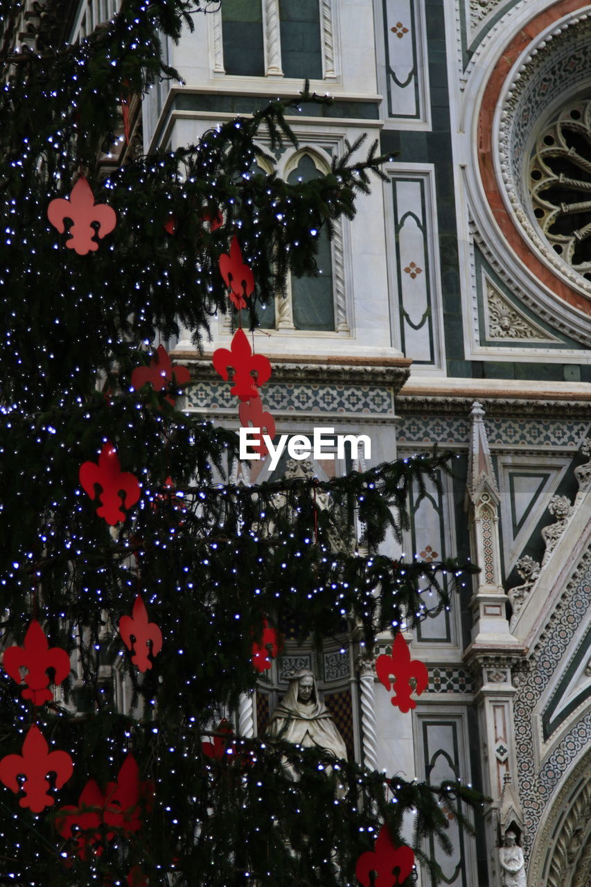 Christmas tree against duomo santa maria del fiore