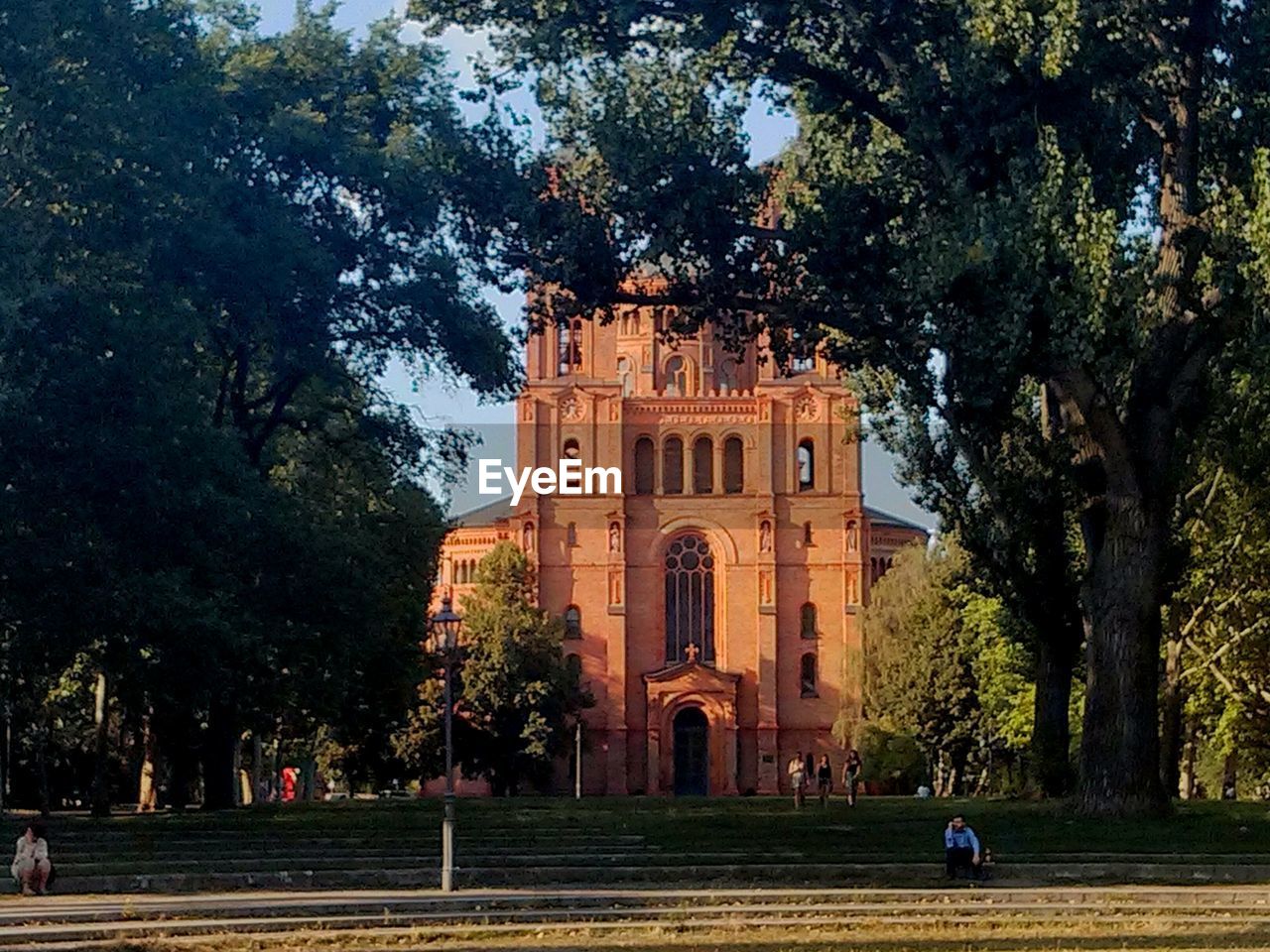 Trees on field against church