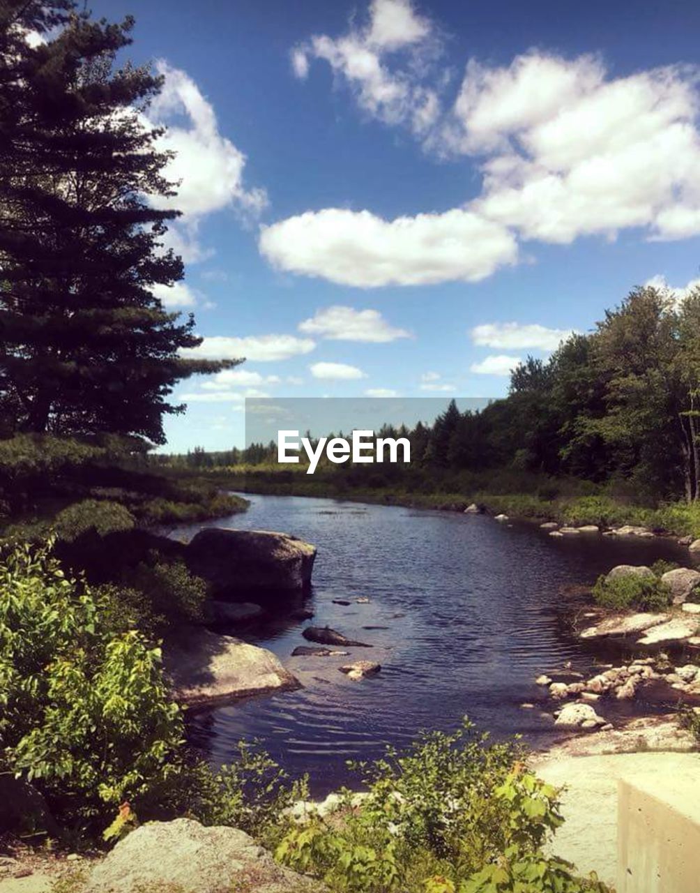 RIVER AMIDST TREES AGAINST SKY