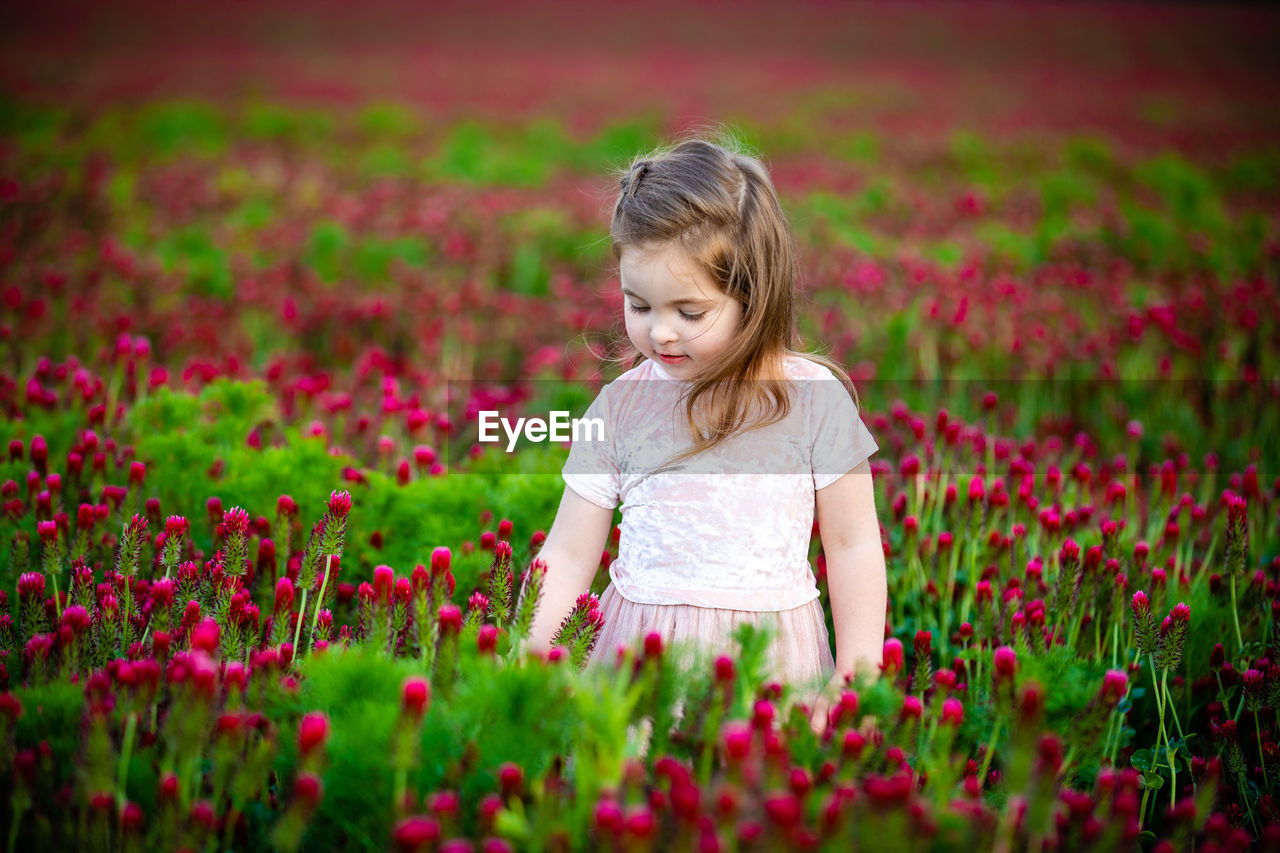 Girl with pink flowers on field