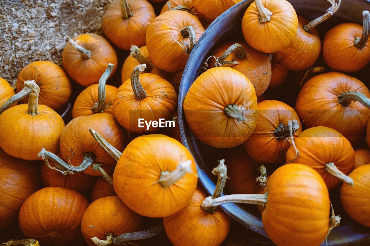 HIGH ANGLE VIEW OF PUMPKINS FOR SALE IN MARKET