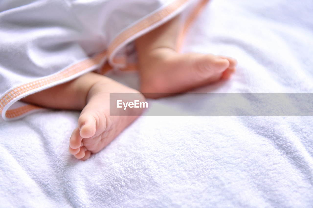 Close-up of baby lying on bed