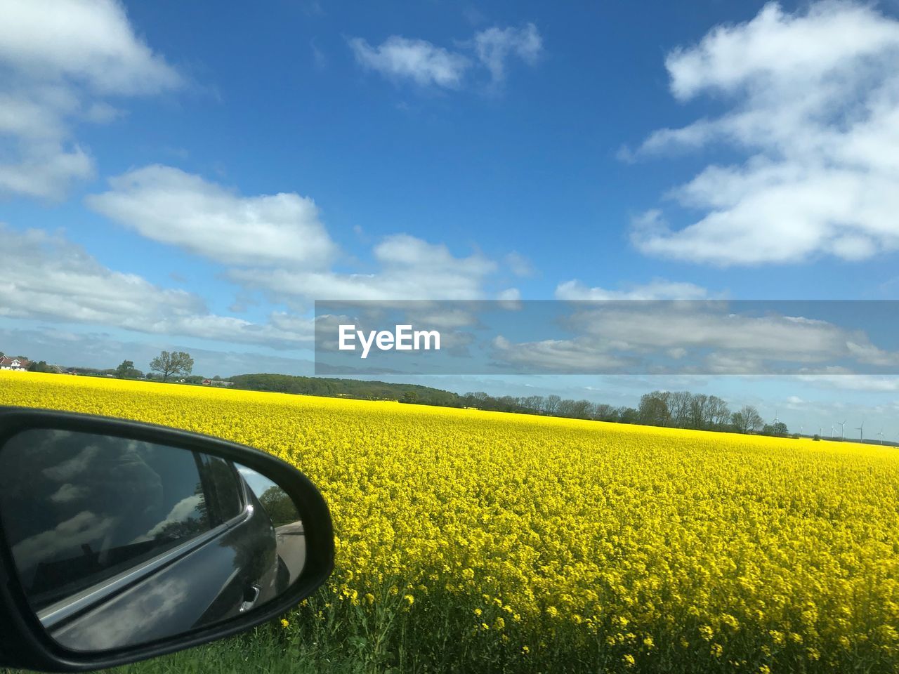 VIEW OF FIELD AGAINST SKY