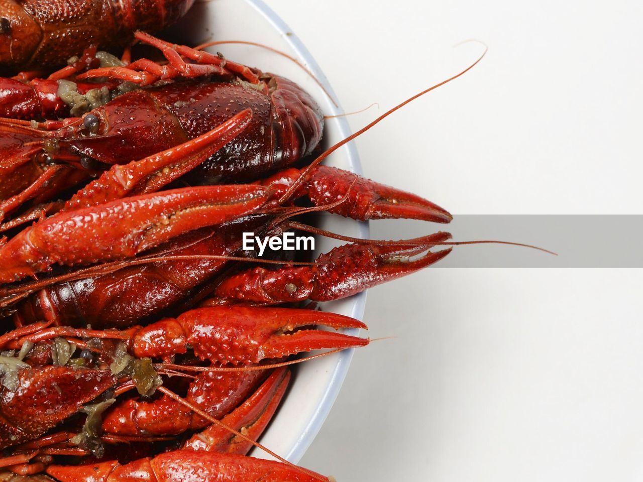 CLOSE-UP OF RED CHILI PEPPERS OVER WHITE BACKGROUND