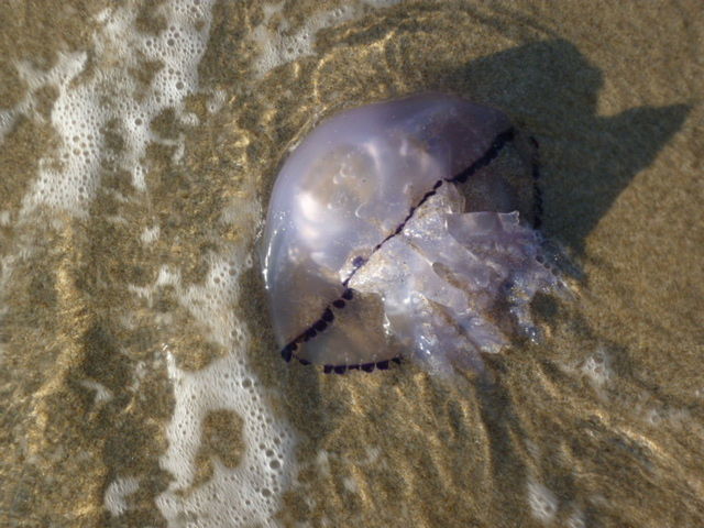 CLOSE-UP OF WATER IN WATER