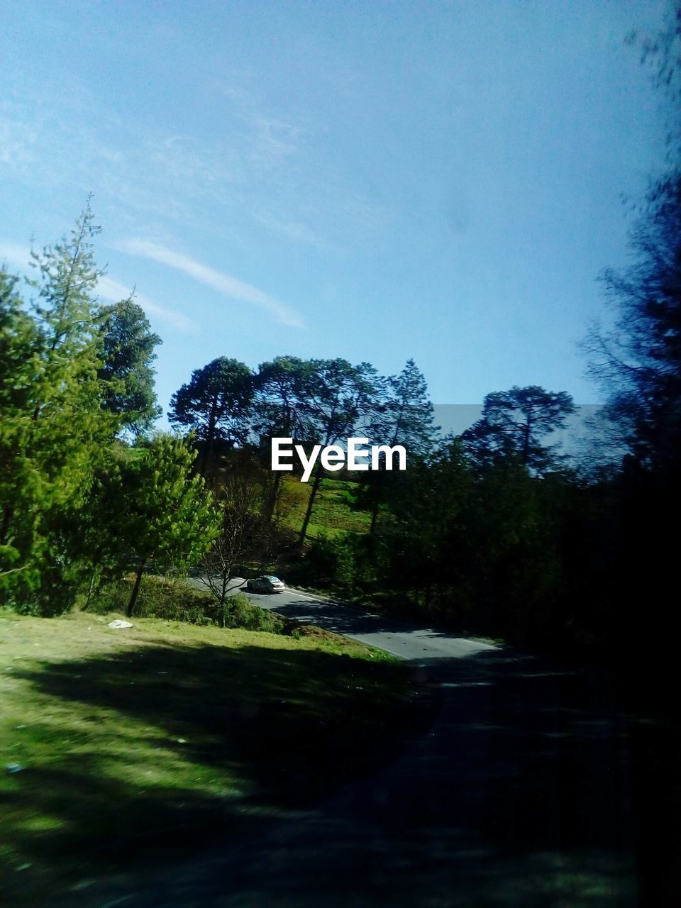 HIGH ANGLE VIEW OF TREES AGAINST SKY