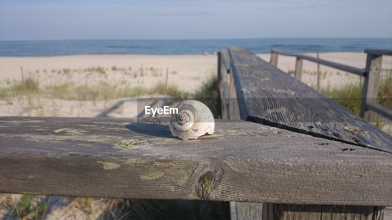 Close-up of damaged shell on railing at beach against sky