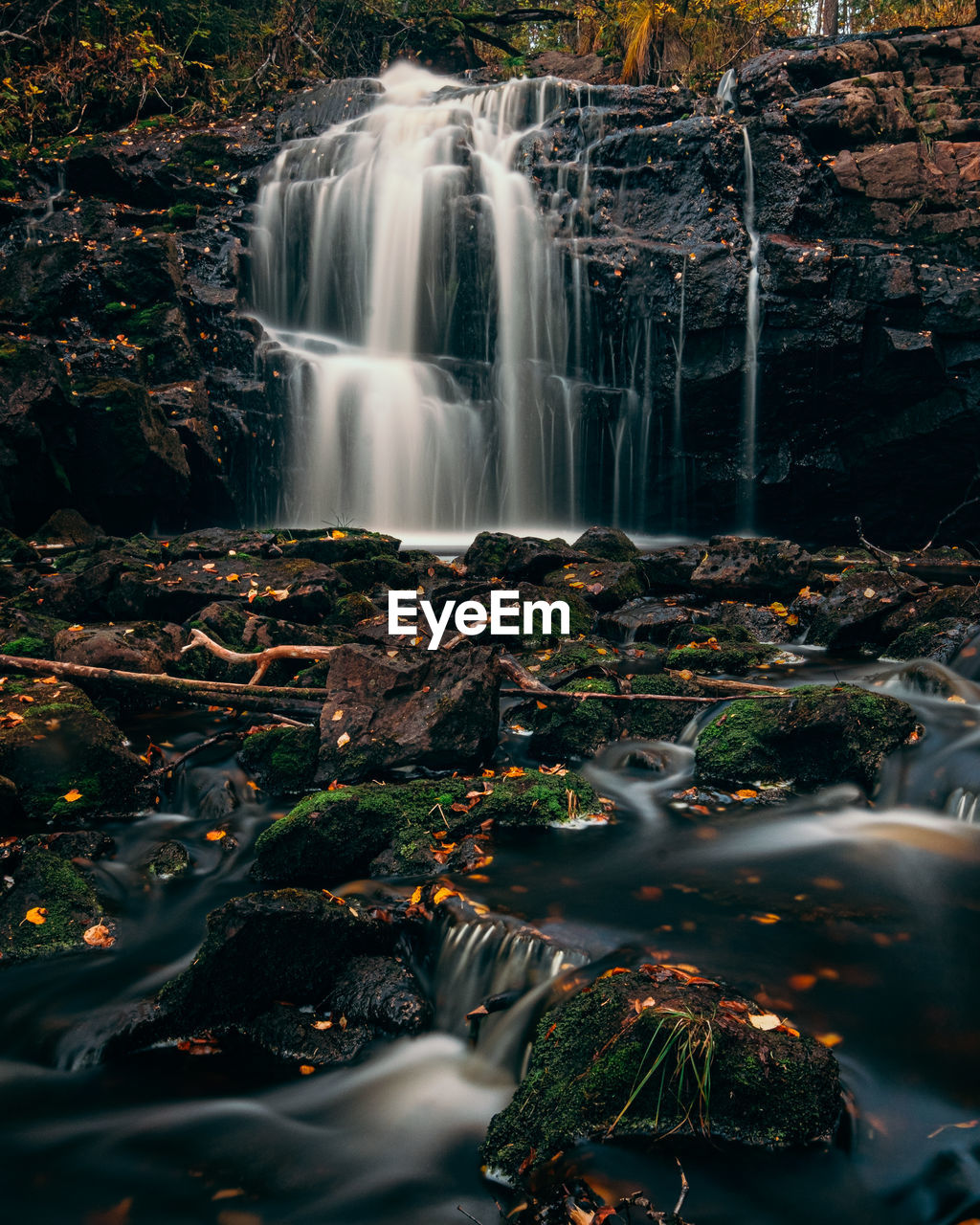 Scenic view of waterfall in forest