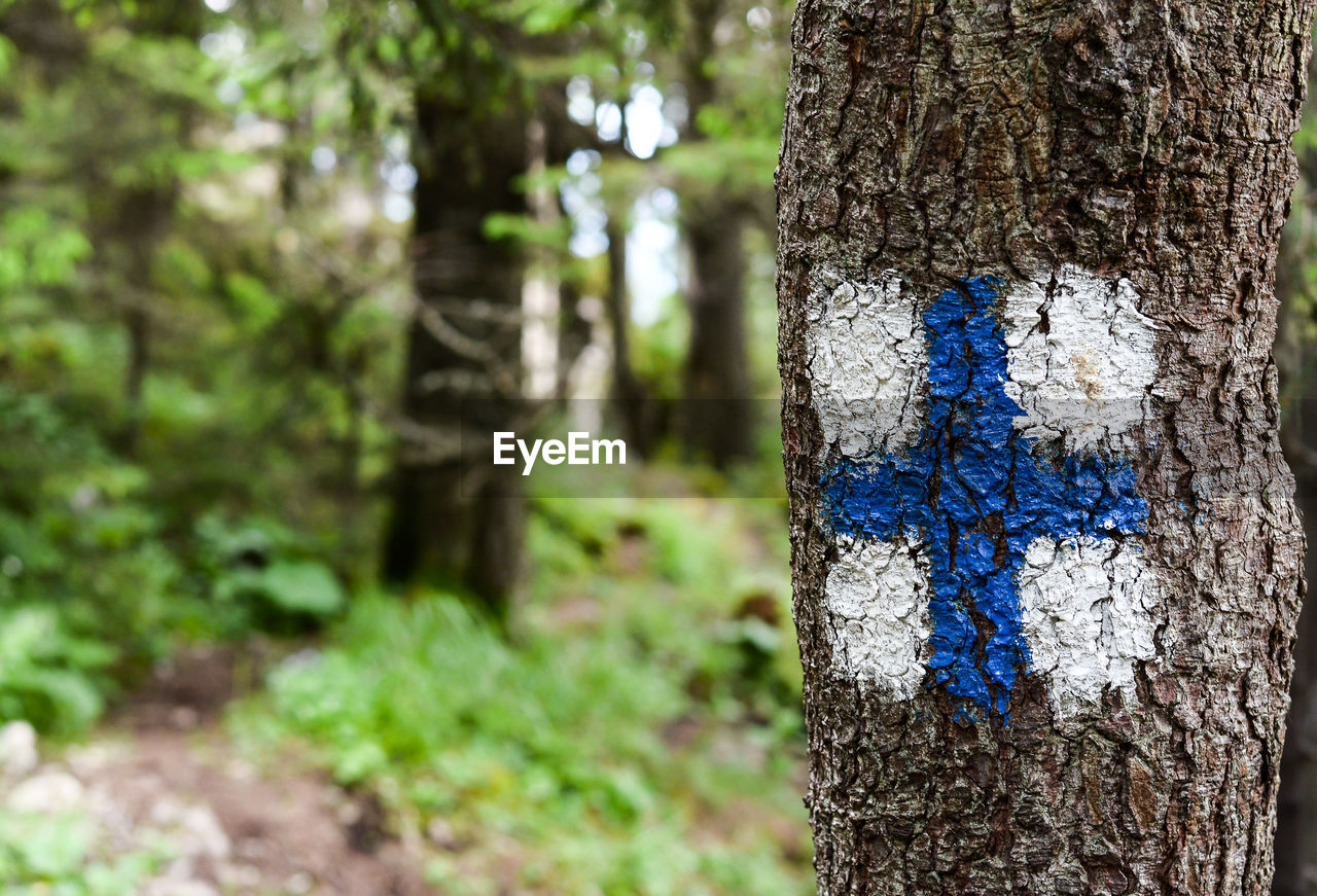 CLOSE-UP OF SIGN ON TREE TRUNK