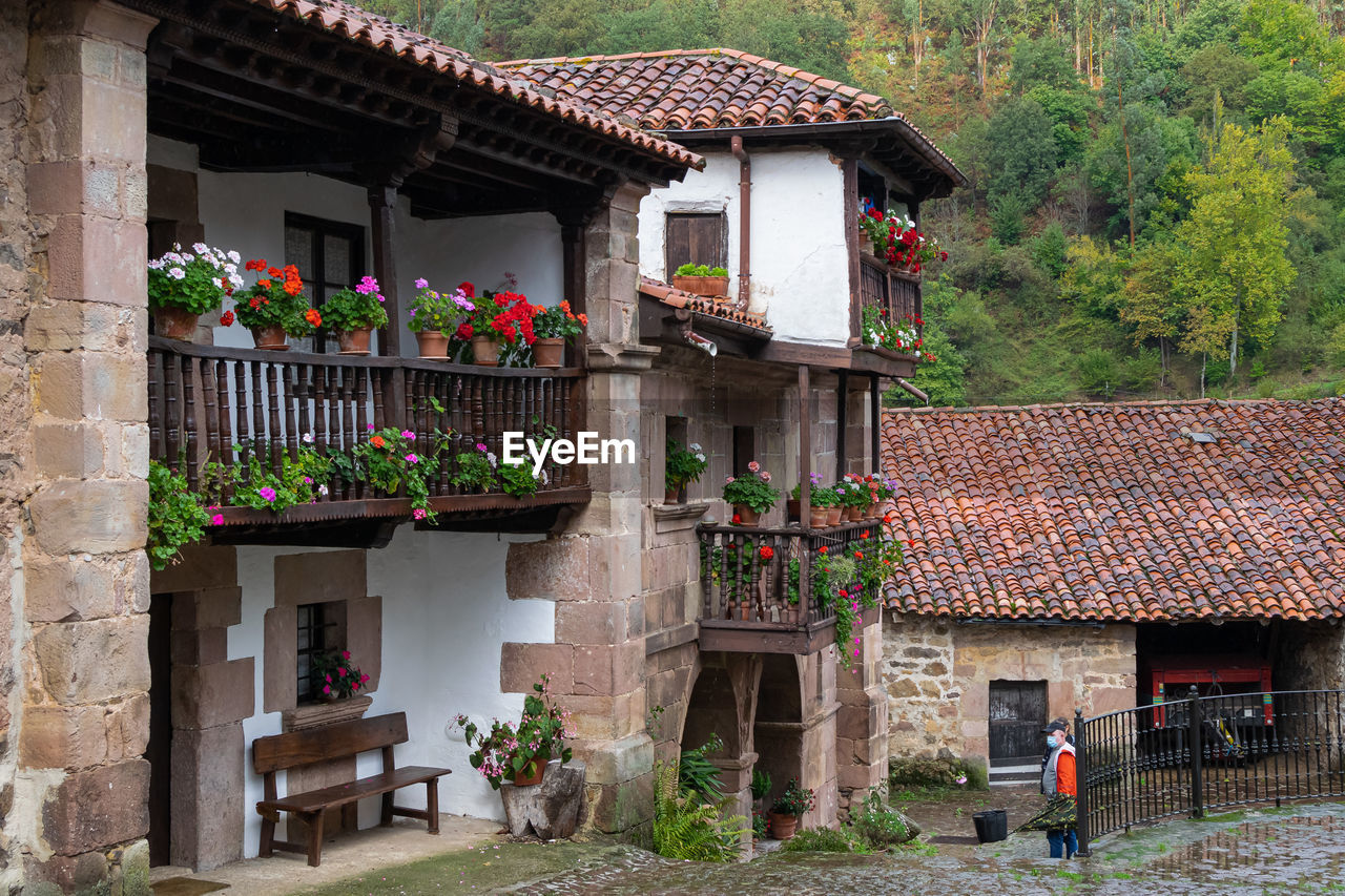 POTTED PLANTS ON BUILDING