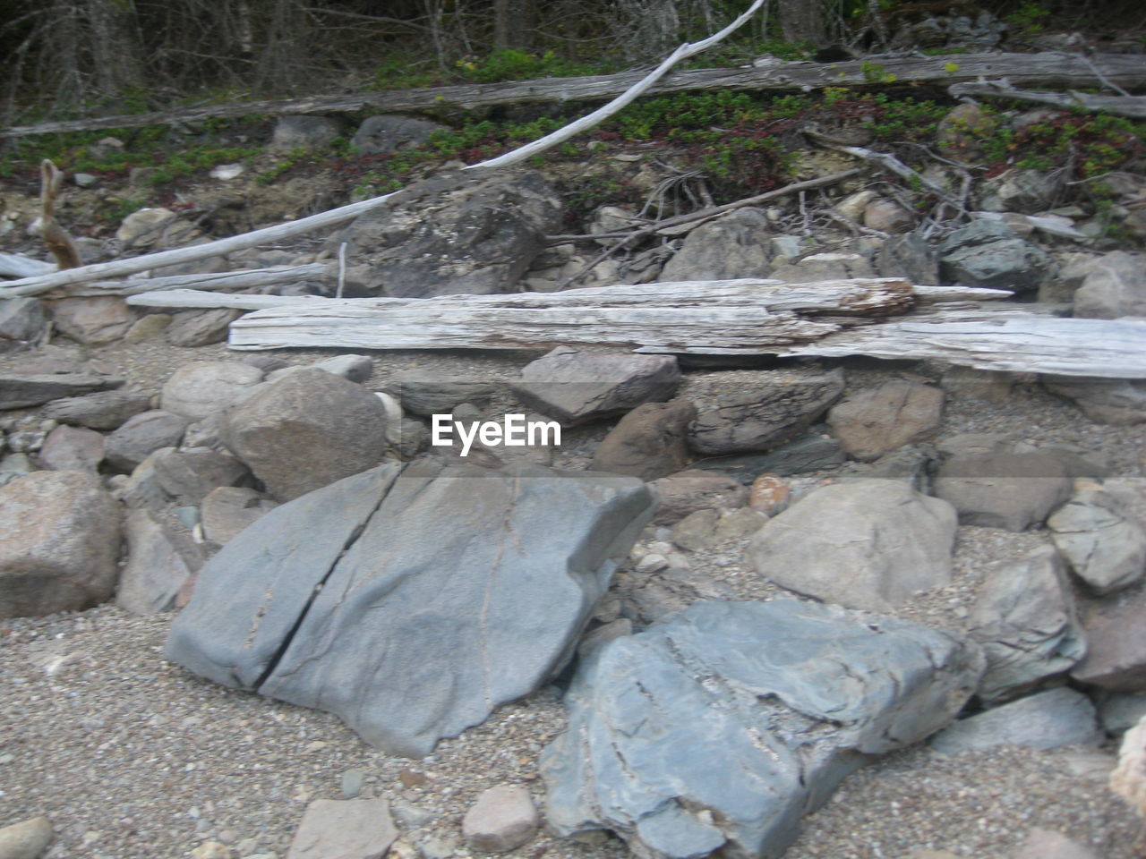 CLOSE-UP OF ROCKS ON TREE