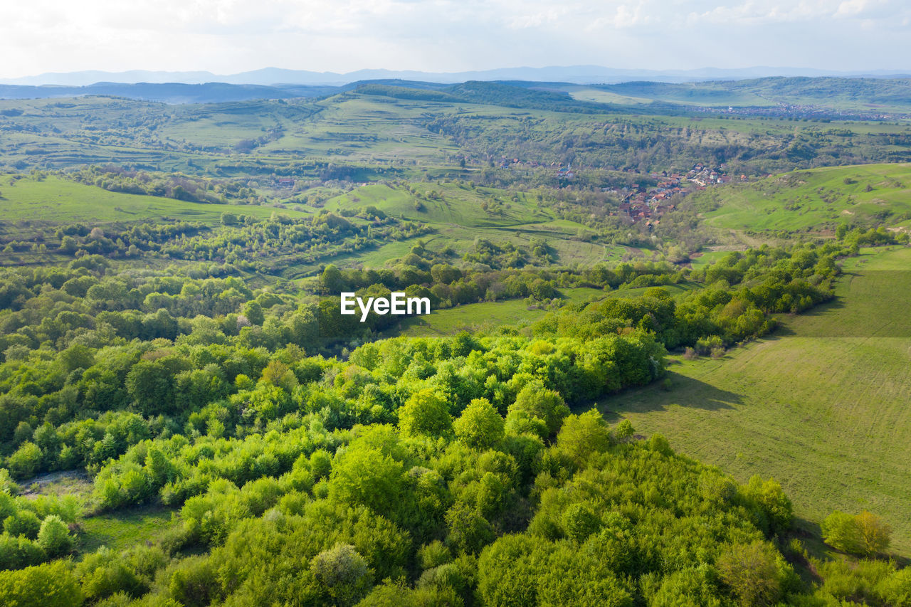 Aerial view of vibrant green pasture and forest in transylvania, romania by drone