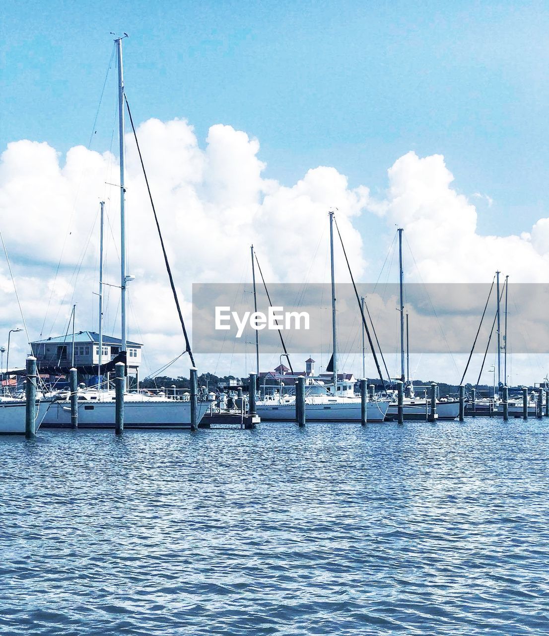 SAILBOATS MOORED IN HARBOR