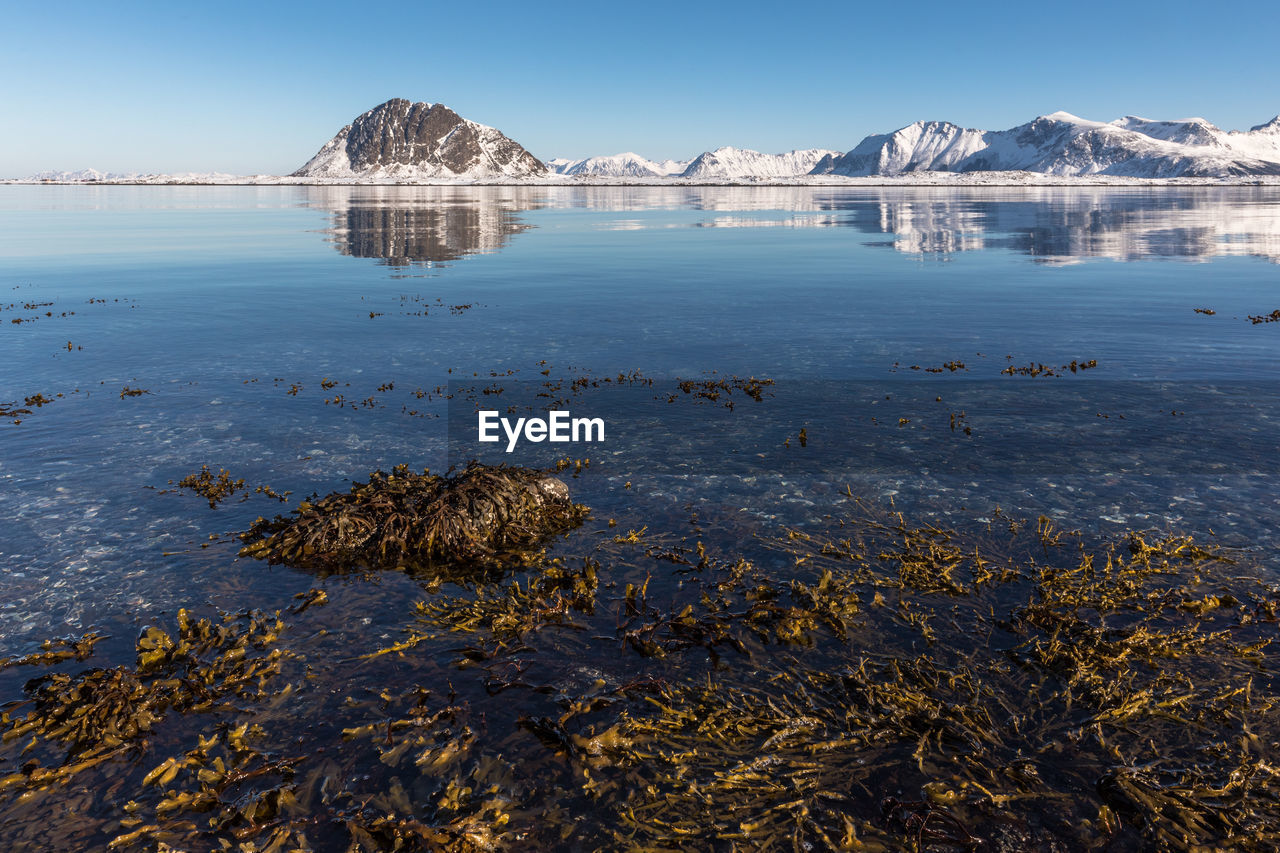 Scenic view of lake against sky during winter