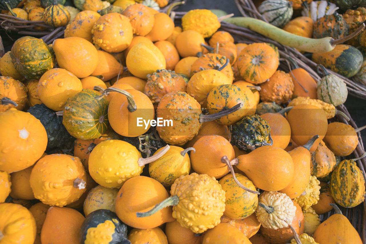 HIGH ANGLE VIEW OF PUMPKINS FOR SALE IN MARKET