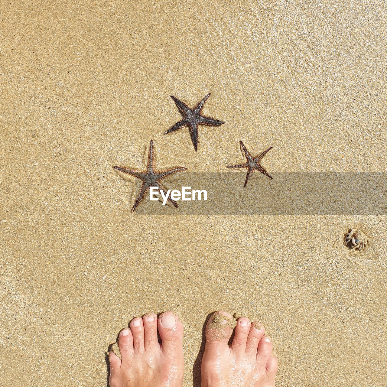 LOW SECTION OF PERSON STANDING ON SANDY BEACH