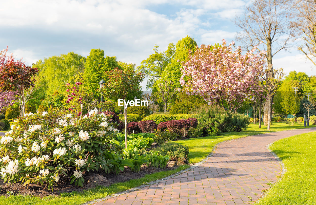 A paved walkway in a blooming garden on a warm spring day.