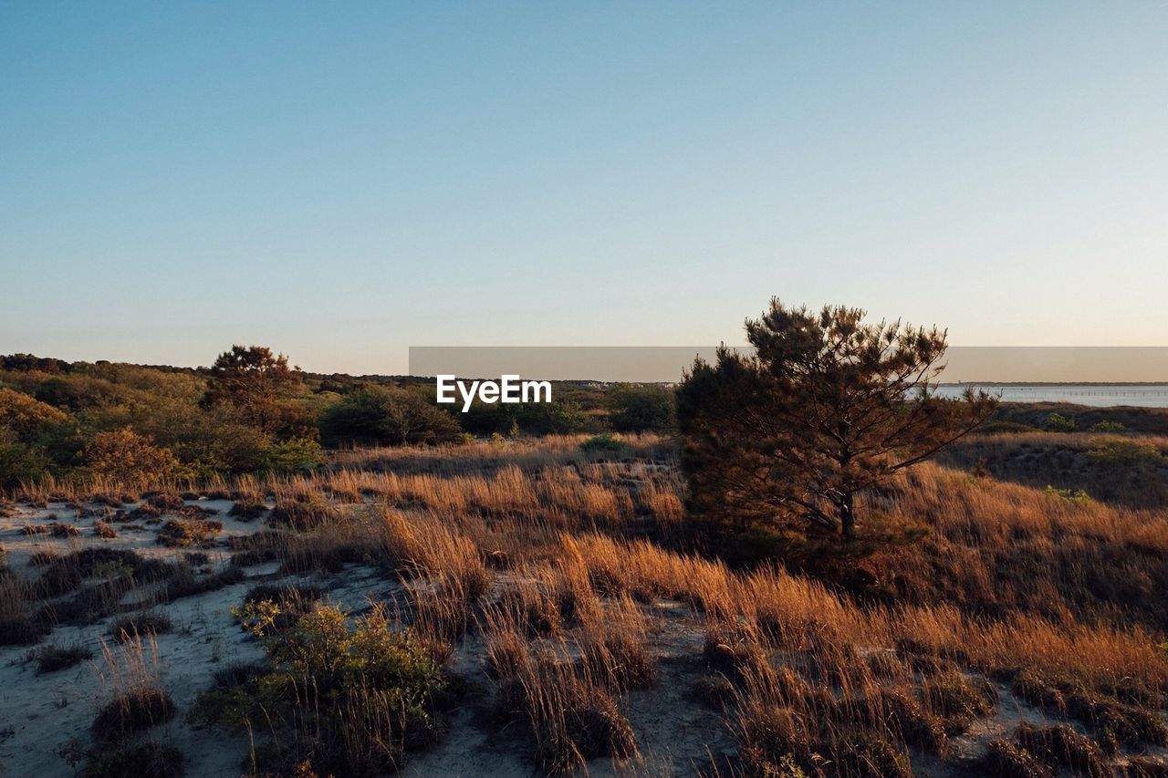 Scenic view of land against clear sky