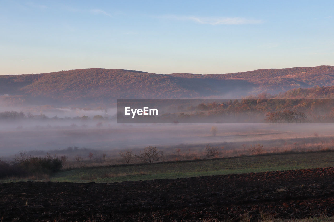 Scenic view of field against sky during sunset