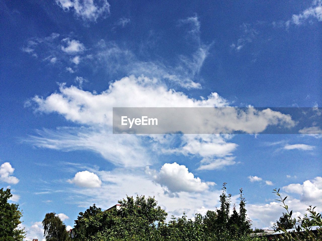 Low angle view of tree against sky