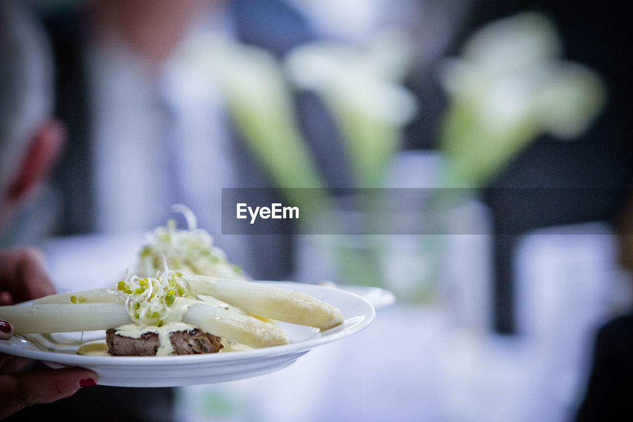 Cropped image of hand holding plate with asparagus