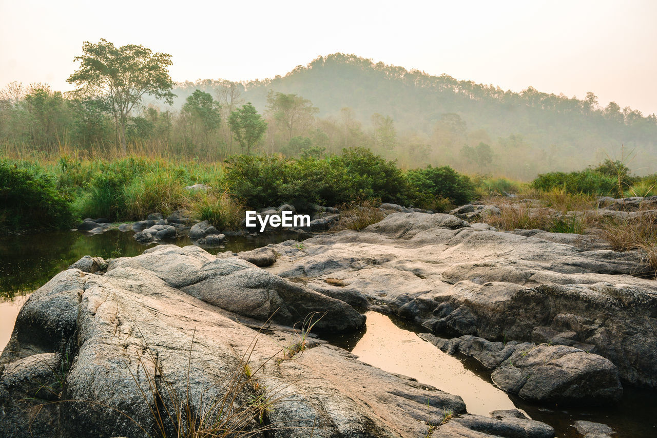 Scenic view of rocks in forest against sky