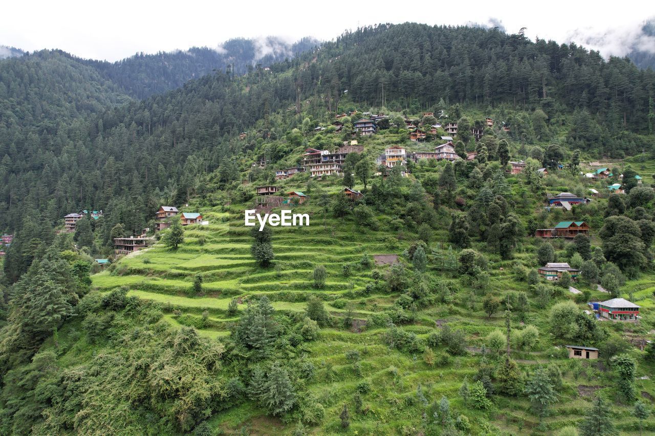 high angle view of trees and mountains against sky