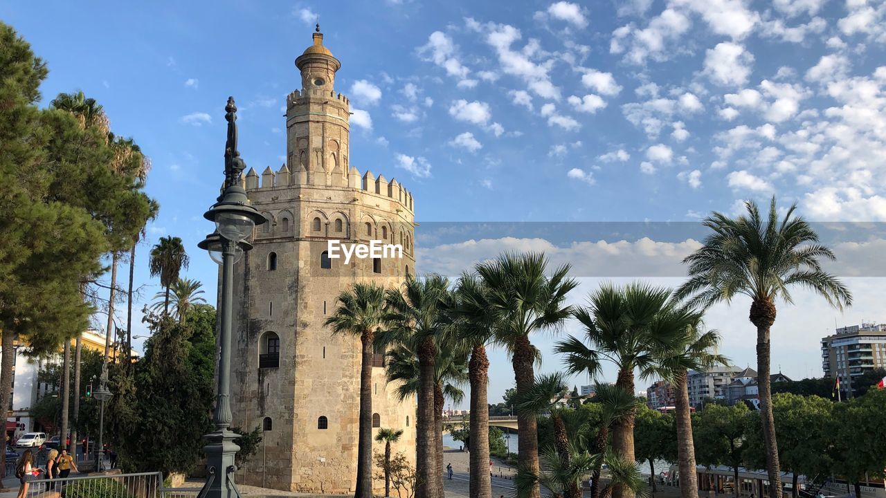 LOW ANGLE VIEW OF PALM TREES AND BUILDINGS